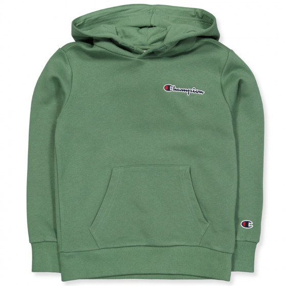 Kids discount champion sweatshirt